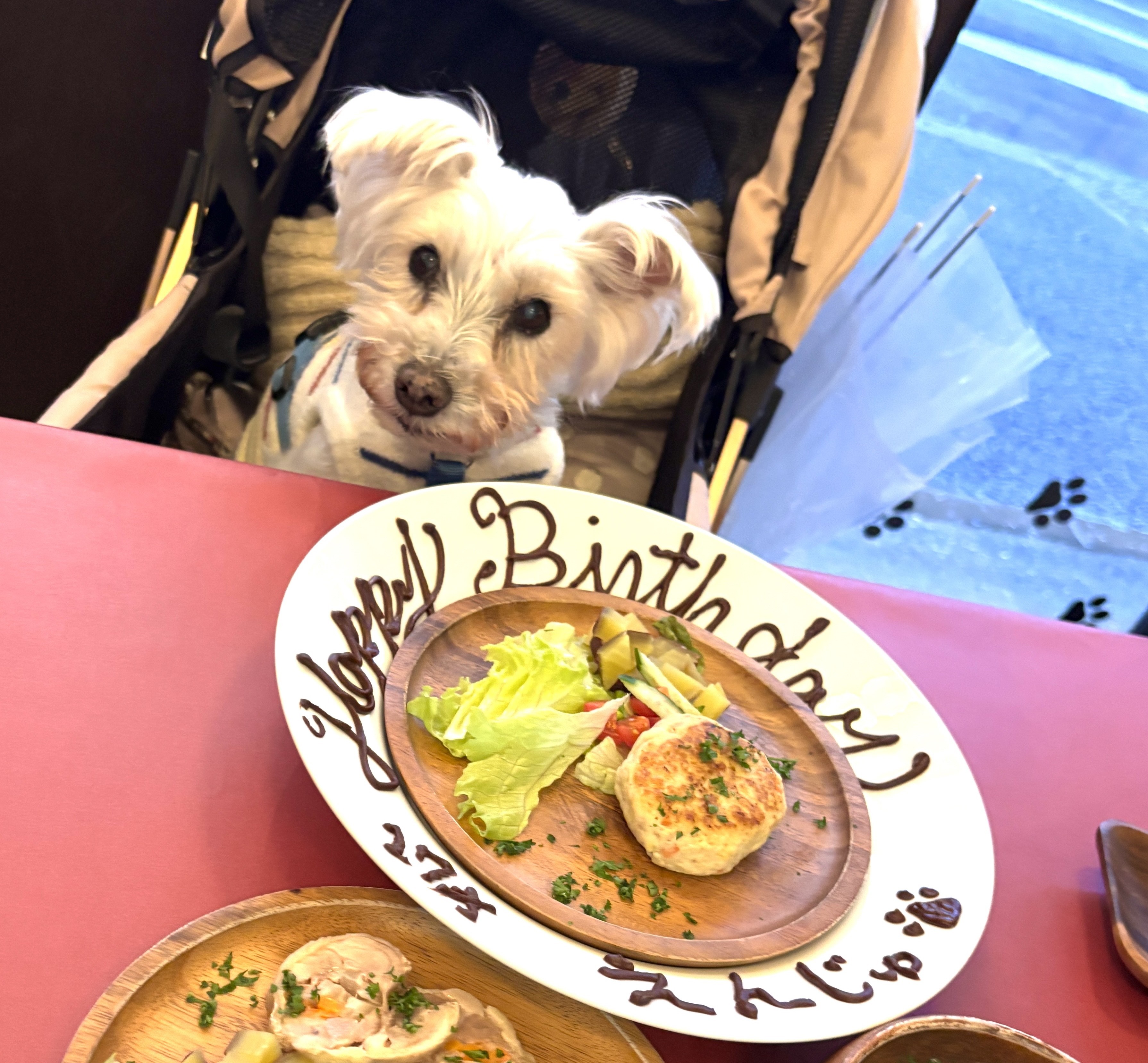 えんじゅちゃんのお誕生日写真